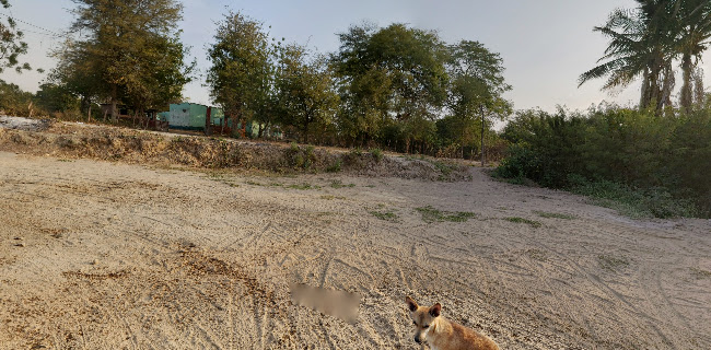 Mz. D 0002A Cas. Panamericana Malingas, Piura 20200