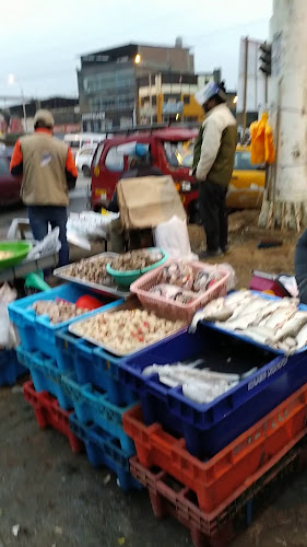 Terminal Pesquero VMT - Villa María del Triunfo