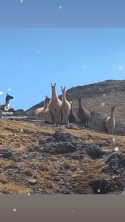 PACHAMAMA HOSPEDAJE & RESTAURANT Pitumarca