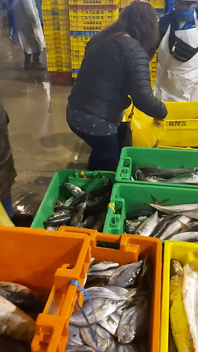 Comentarii opinii despre Terminal Pesquero VMT