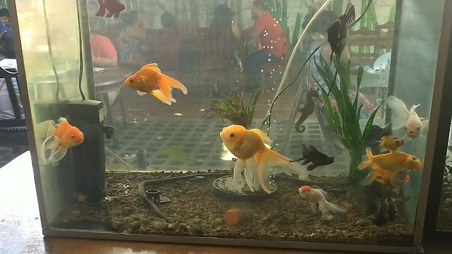 Jr. Huascar 346, Pucallpa 25001