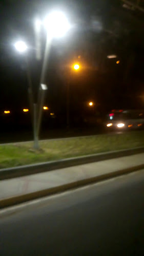 Mercado Vista Alegre - Tacna