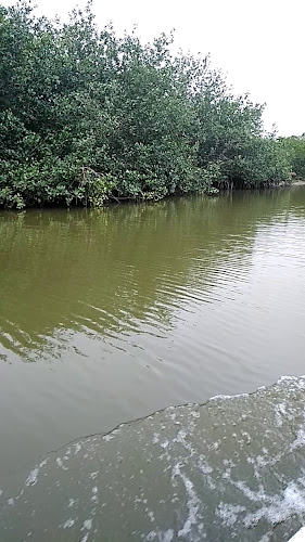 Restaurante Los Manglares De Tumbes - Gastronomía y hostelería