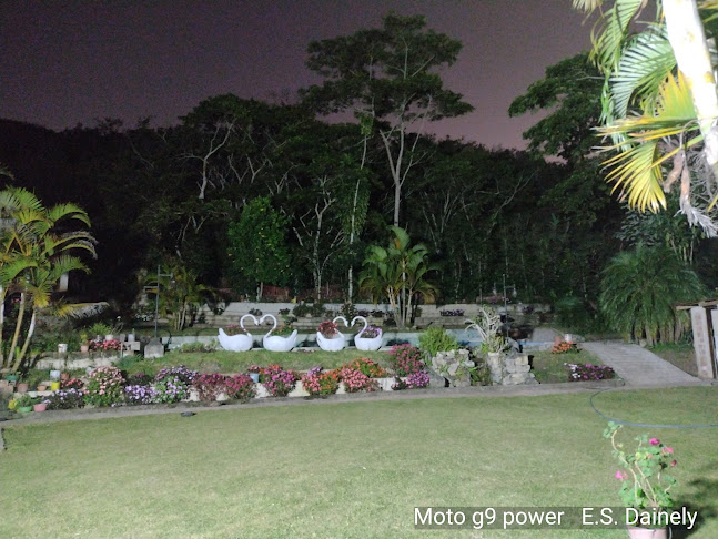 Comentarii opinii despre HELADOS ARTESANALES DANNA