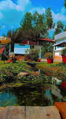 Valor Natural berries y miel