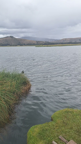 Opinii despre Complejo Turístico Muelle Azul în Jauja - Gastronomía y hostelería