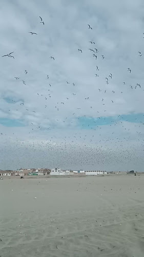 62FP+G4Q, Lambayeque 14051