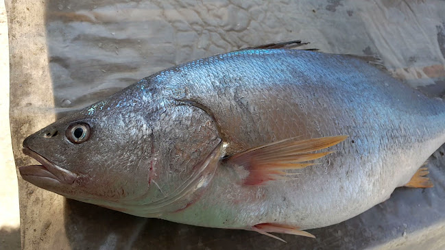 Comentarii opinii despre Restaurant Miramar Gramadal Huarmey