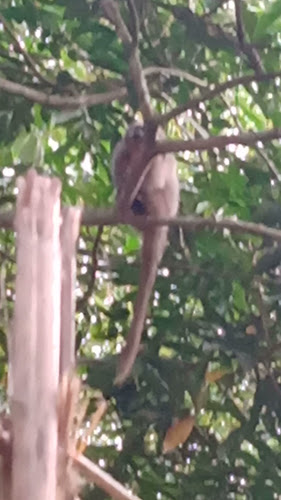 El Huequito de La Chabe