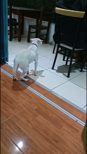 El Italiano - Gastronomía y hostelería