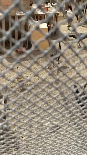 Restaurant El Huaquerito en Huaral