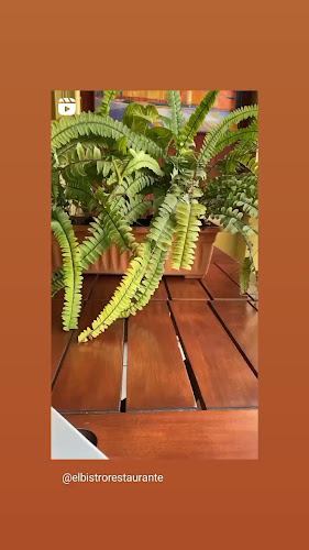 Opinii despre El Bistró Restaurant în La Punta - Gastronomía y hostelería