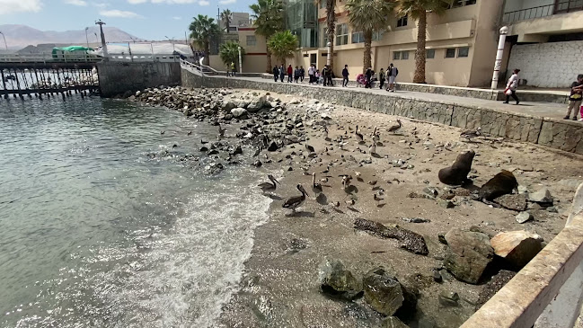 Cevicheria Hikary (cracken) - Gastronomía y hostelería