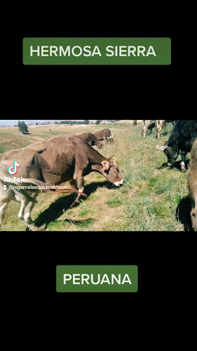 Opinii despre Rhunas Ayacucho Discoteca în Iquitos - Gastronomía y hostelería