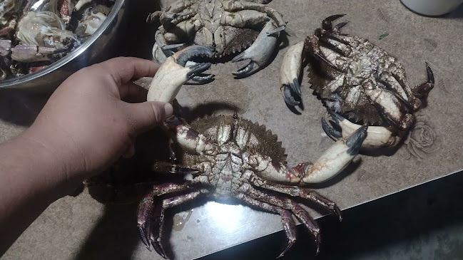 Restaurant Cevicheria Rico Casma - Casma