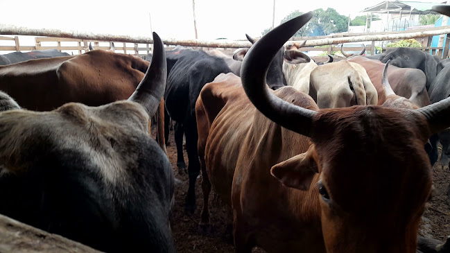 Nauta Loreto - Gastronomía y hostelería