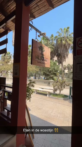 Malecón José Picasso Peratta #154 Huacachina Ica Al costado de la biblioteca, Huacachina 11000