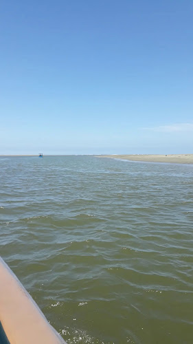 El Caracolito del Mar