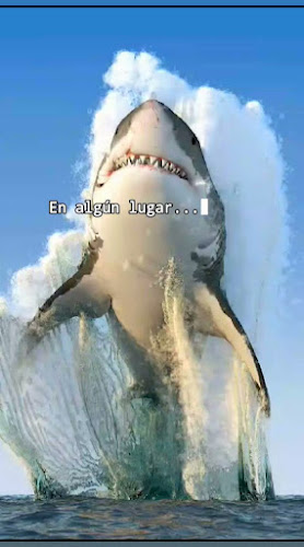 Grupo Buenos Aires Fotografia