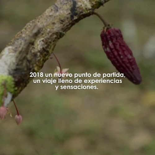 Opinii despre Origen chocolate artesanal în Arequipa - Gastronomía y hostelería