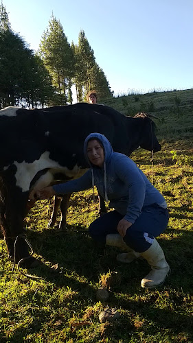 Comentarii opinii despre Mercado Cooperativa Elio