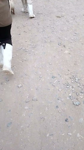 Opinii despre Nuevo Terminal Pesquero în Víctor Larco Herrera - Gastronomía y hostelería