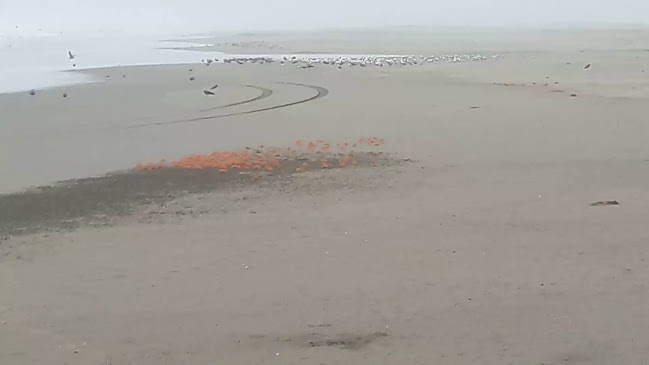 Comentarii opinii despre Mercado de Mejia