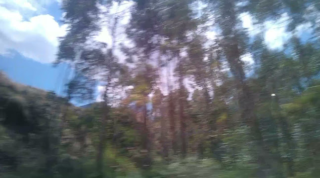 Opinii despre POLLERIA BEN-HUR în Pucallpa - Gastronomía y hostelería