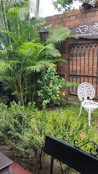 Cocina Amazónica Doña Zully - Tarapoto