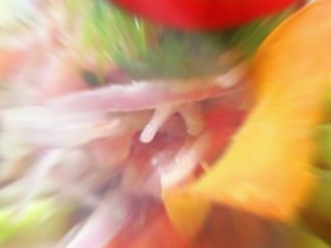 Opinii despre Sol Mar Huanchaco în Huanchaco - Gastronomía y hostelería