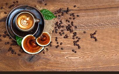 le café des copains