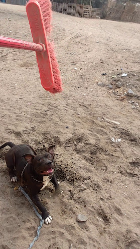 Rokys - San Martín de Porres