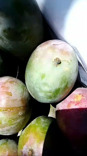 Campo Ferial Ilo - Ilo