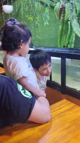 Vi Ai Pi - Pollería