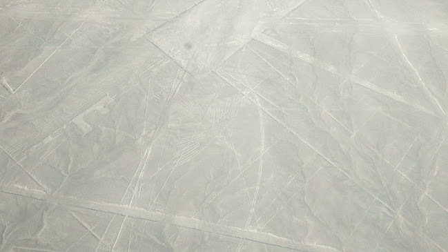 Camotitos3 Beach - Gastronomía y hostelería