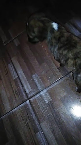 Centro Recreacional BeraK