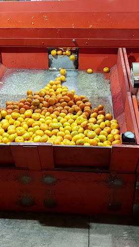 Opinii despre Mercado de Frutas El Palmo în Huaral - Gastronomía y hostelería