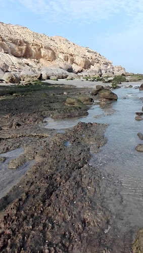 Black Marlin Lodge & Restaurant