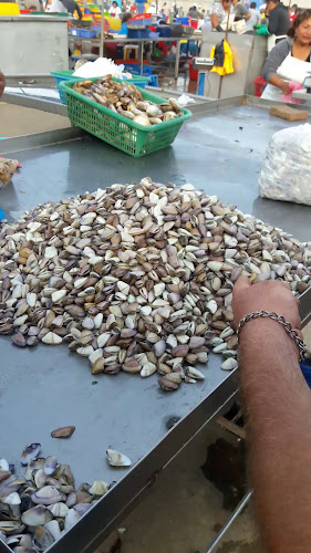 Nuevo Terminal Pesquero - Víctor Larco Herrera