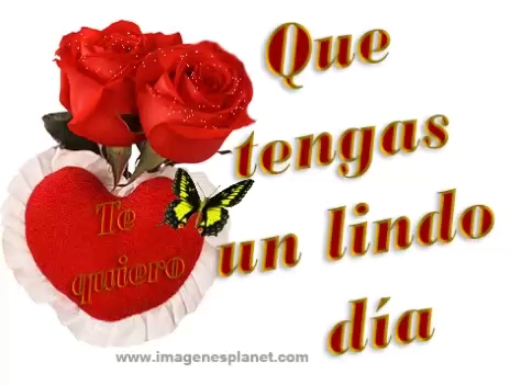 Comentarii opinii despre Don Roberto