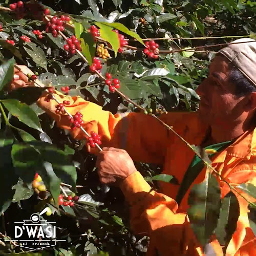 Comentarii opinii despre Café D´wasi Peruvian Coffee