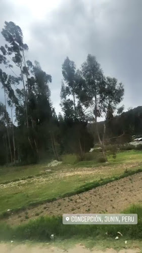 Opinii despre Restaurant Campestre Valle Azul în Quichuay - Gastronomía y hostelería