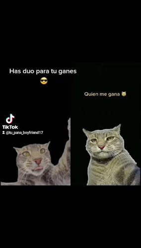 WWFW+GG5, Jesús María 15072