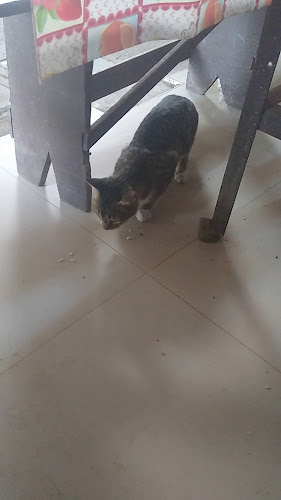 Opinii despre Mercado A-Z în La Victoria - Gastronomía y hostelería