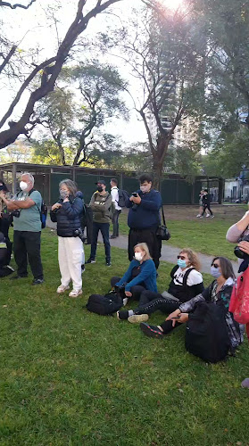 Opinii despre Grupo Buenos Aires Fotografia în Andahuaylas - Gastronomía y hostelería