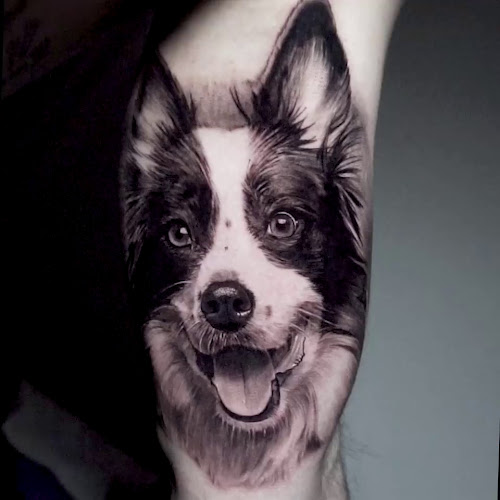 Mr Trago Arequipa Delivery