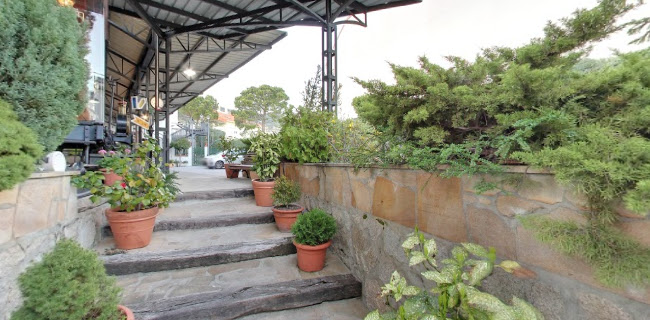 Comentarii opinii despre El Vagón de Beni