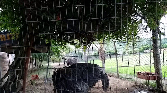Río Chunchuca 190, Jaén 06801
