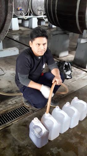 Bodega Bailetti - Gastronomía y hostelería