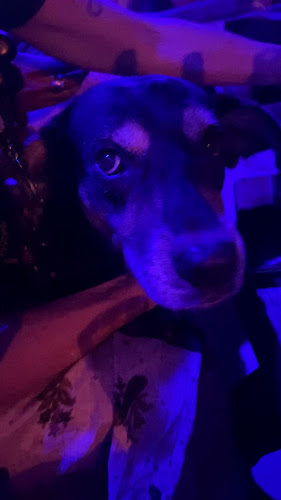 cuaddras de Urubamba, cesar calvo de araujo 535 cesar calvo de araujo con, Arequipa 2, Pucallpa